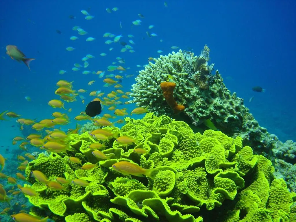 Resort Hotel Red Sea Dive Center Áqaba