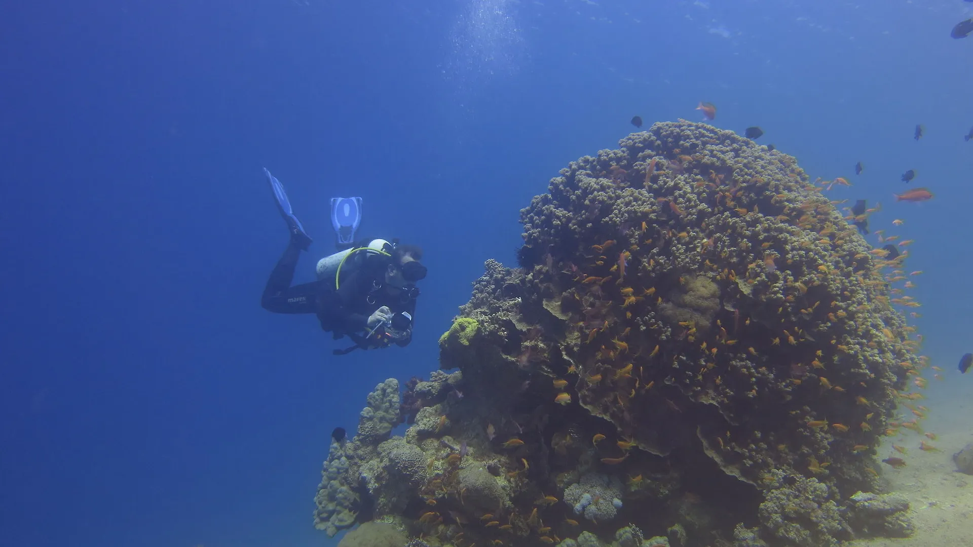 Hotel Red Sea Dive Center Áqaba Resort